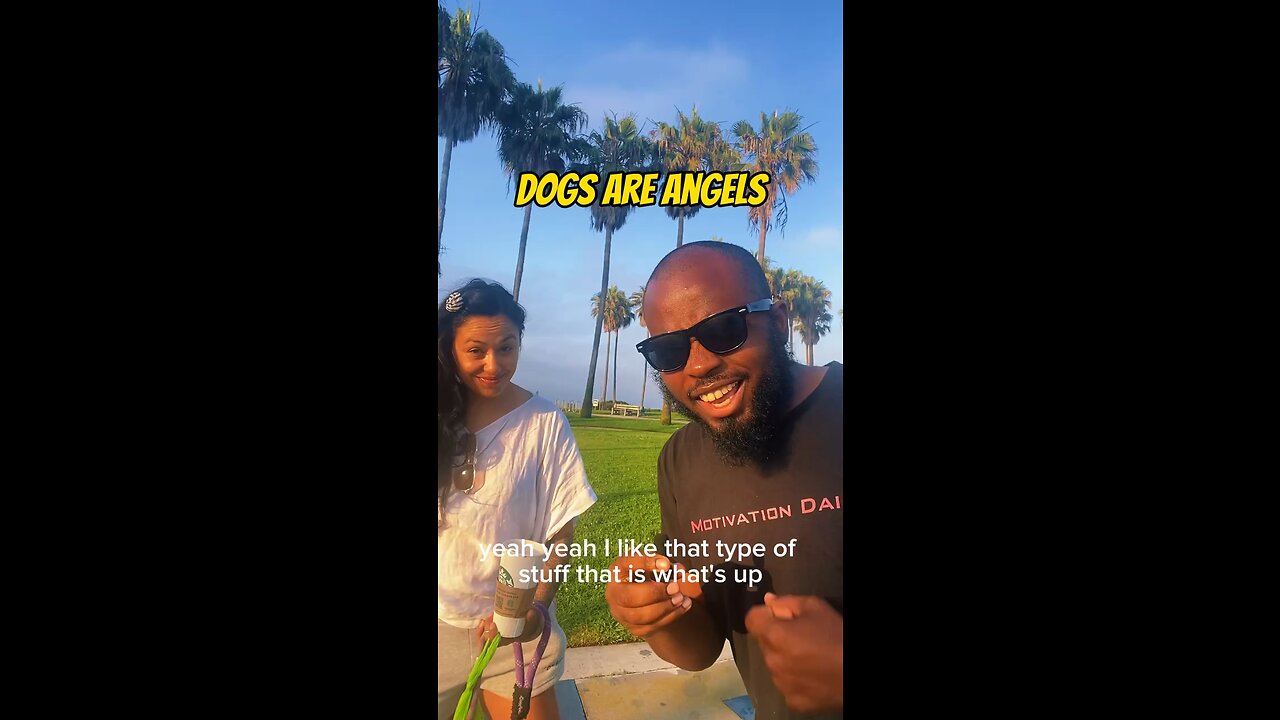 Dogs Are Angels #dayodman #motivation #angelic #dogs #eeyayyahh
