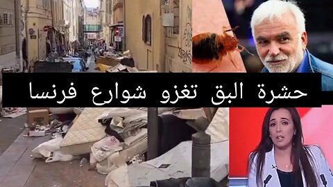 #عاجل فرنسا تغزو بعوضة البق