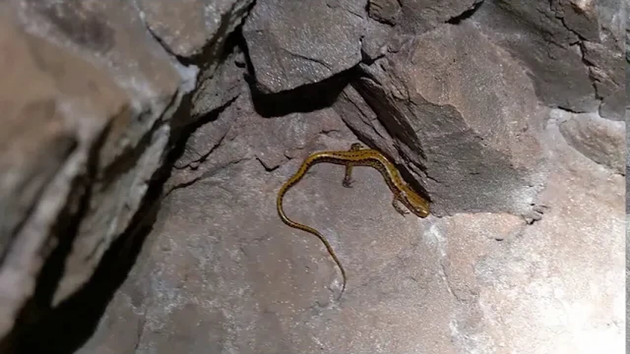 Marble Mine At James H (Sloppy) Floyd State Park, GA