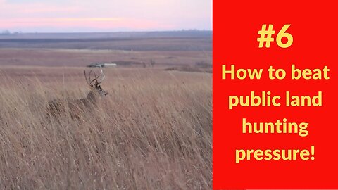 How to beat public land hunting pressure #6 - Off-beat tactics