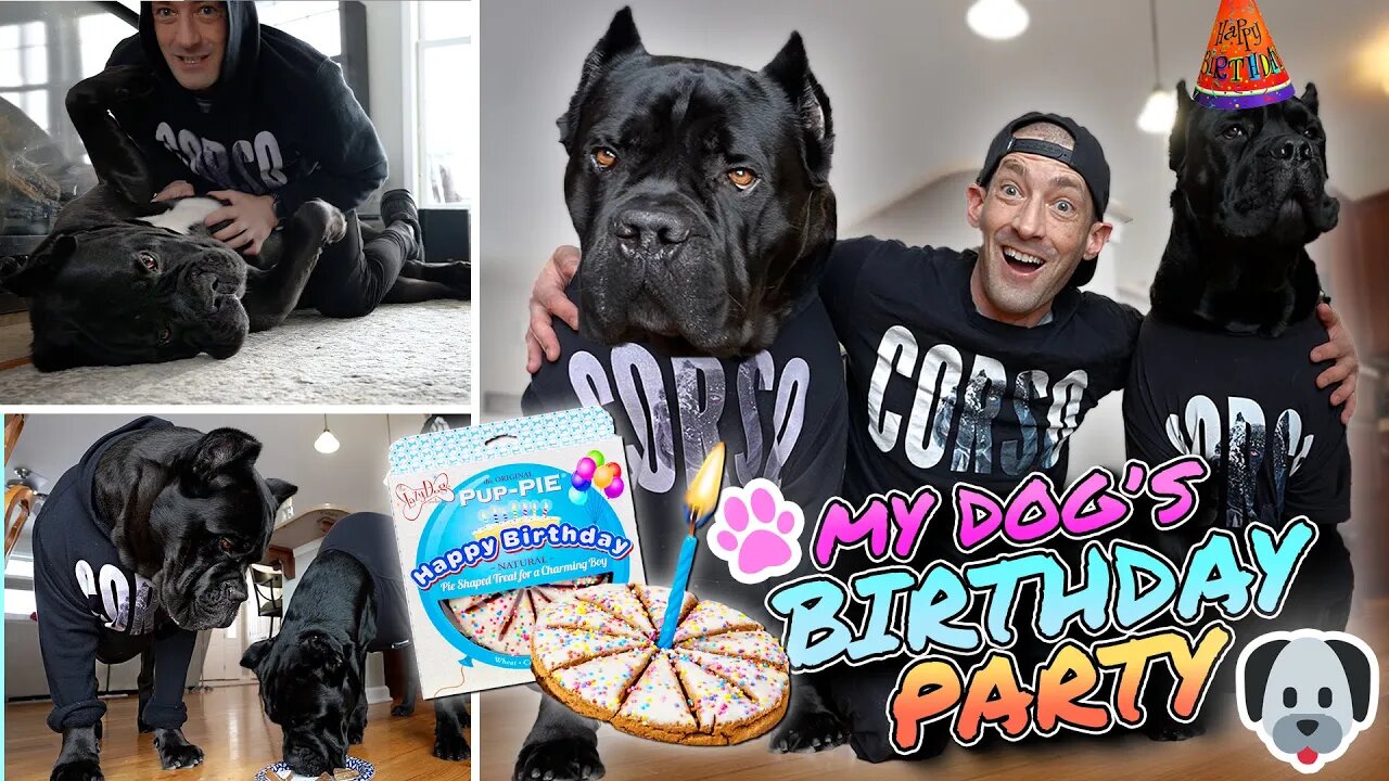 My Dog's Birthday! I HATED My Dog's Name!