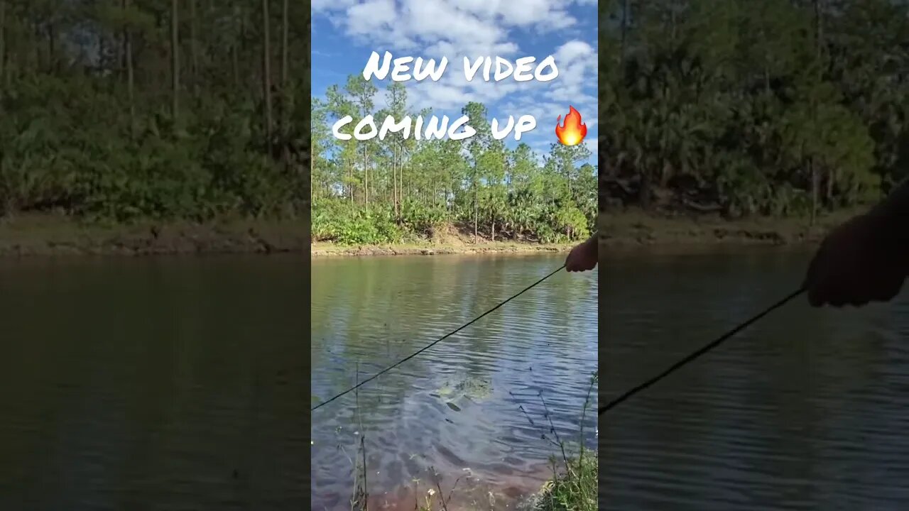 Cast net video coming soon!