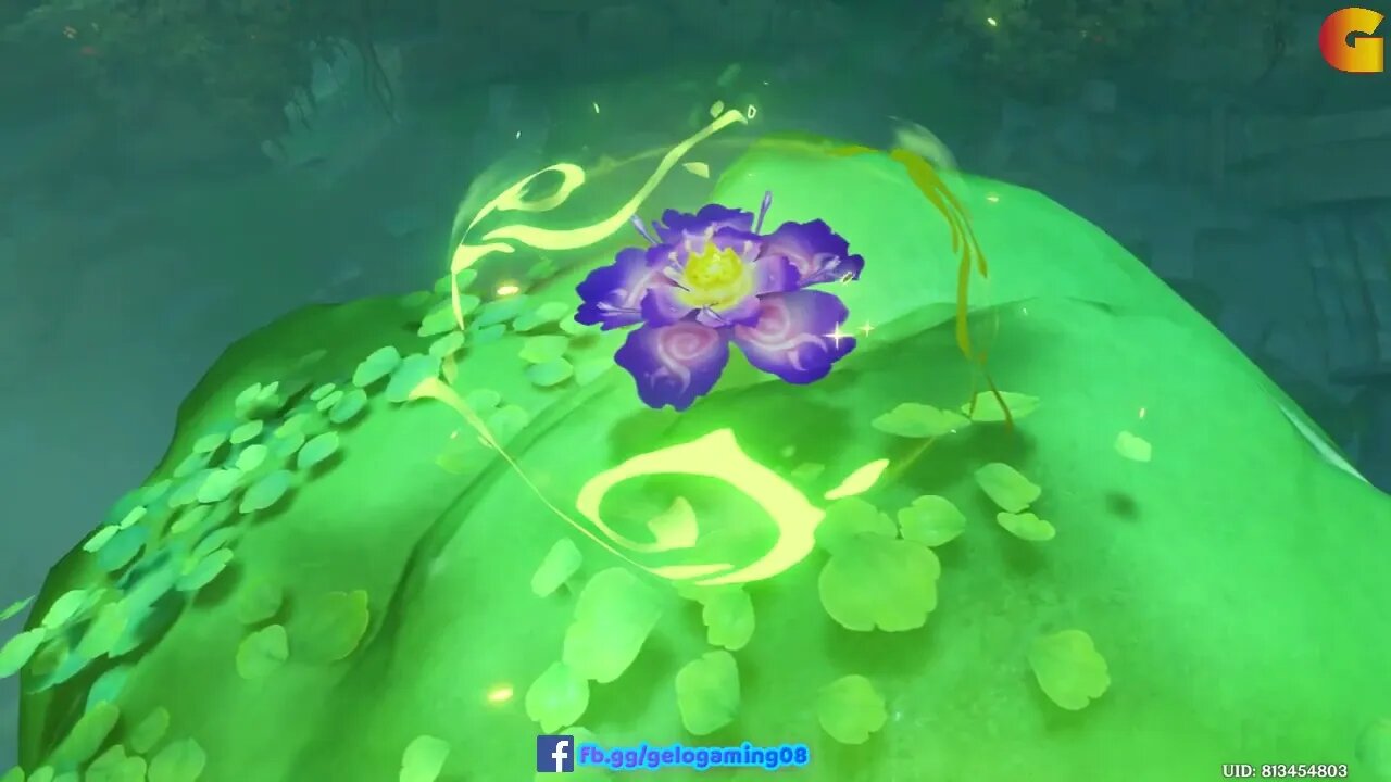 [Sumeru Guide] [Sumeru Guide] Use the Kusava to break the seal on the Barsam Flower 2/3