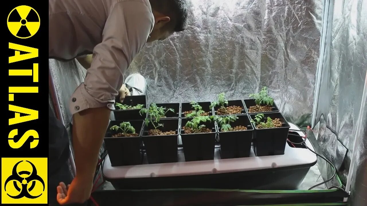 How to grow Food and Plants in an underground Bomb Shelter!