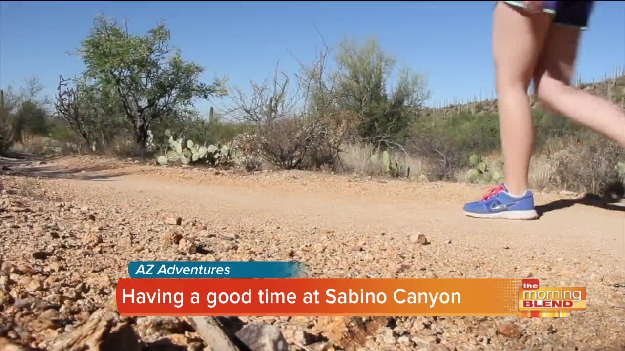 AZ Adventures: Create your own experience at Sabino Canyon