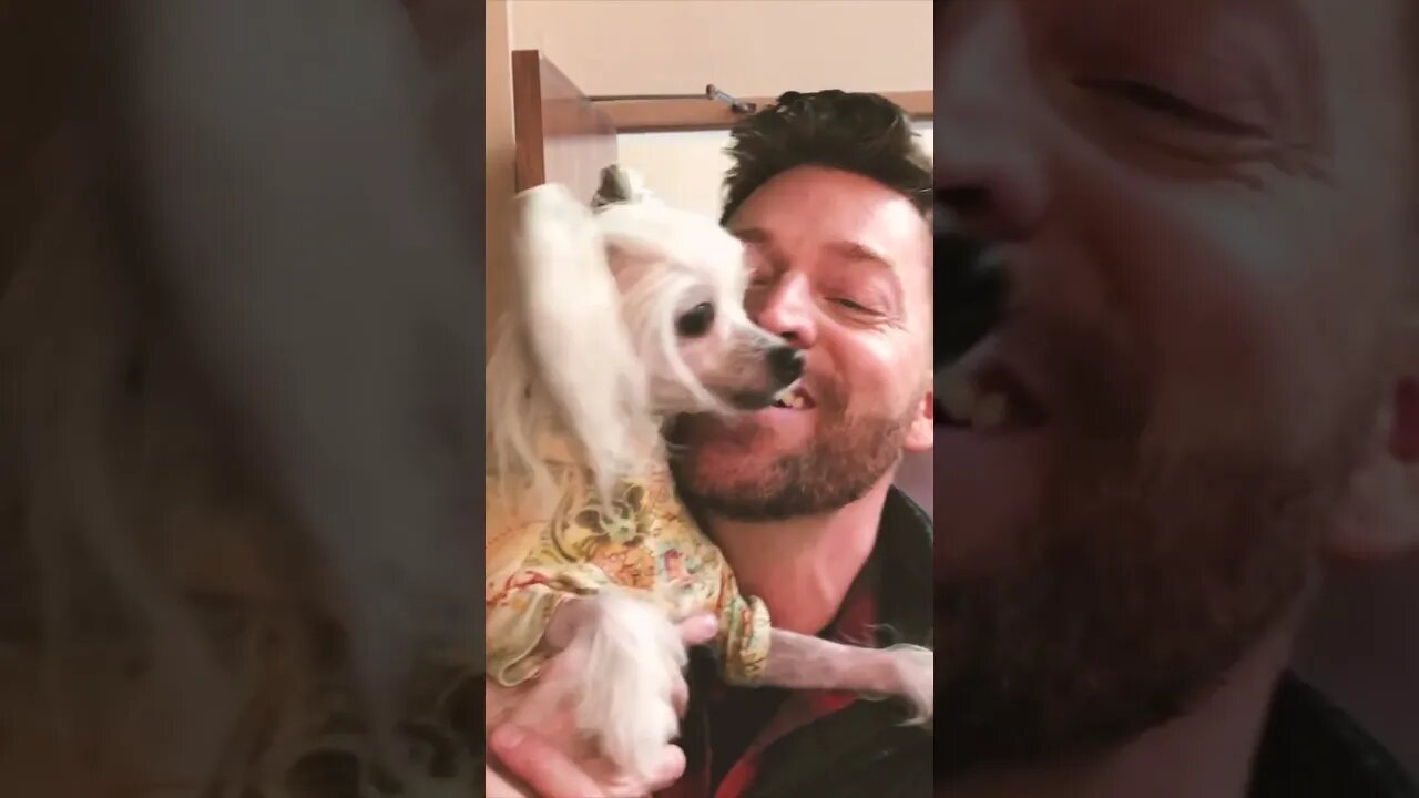 #packlife🐾 BTS of shooting the music video to O Holy Night with my vocal warm up partner #shorts