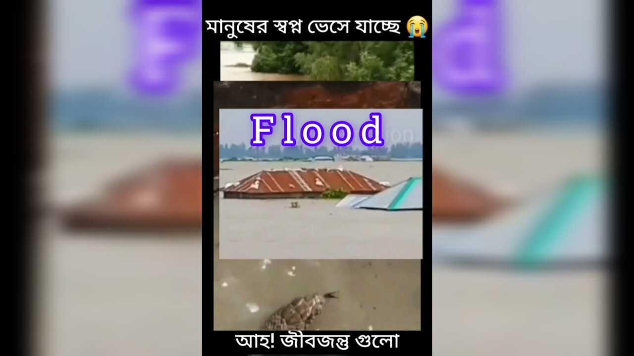 Flood😭😭বন্যায় ভাসছে মানুষের স্বপ!!