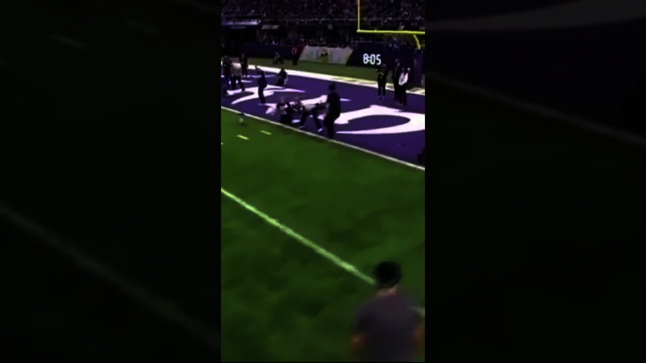 Corgi Race At The Vikings and Rams Game