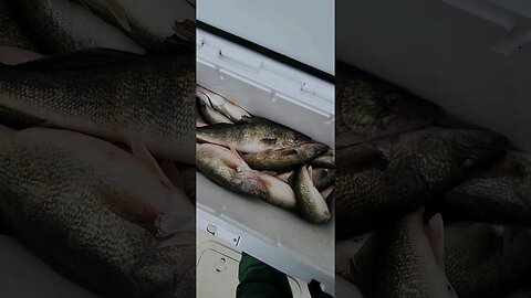 Sorry forgot to upload yesterday. Slow day on Erie for us, we came up short on there 24, at 15...