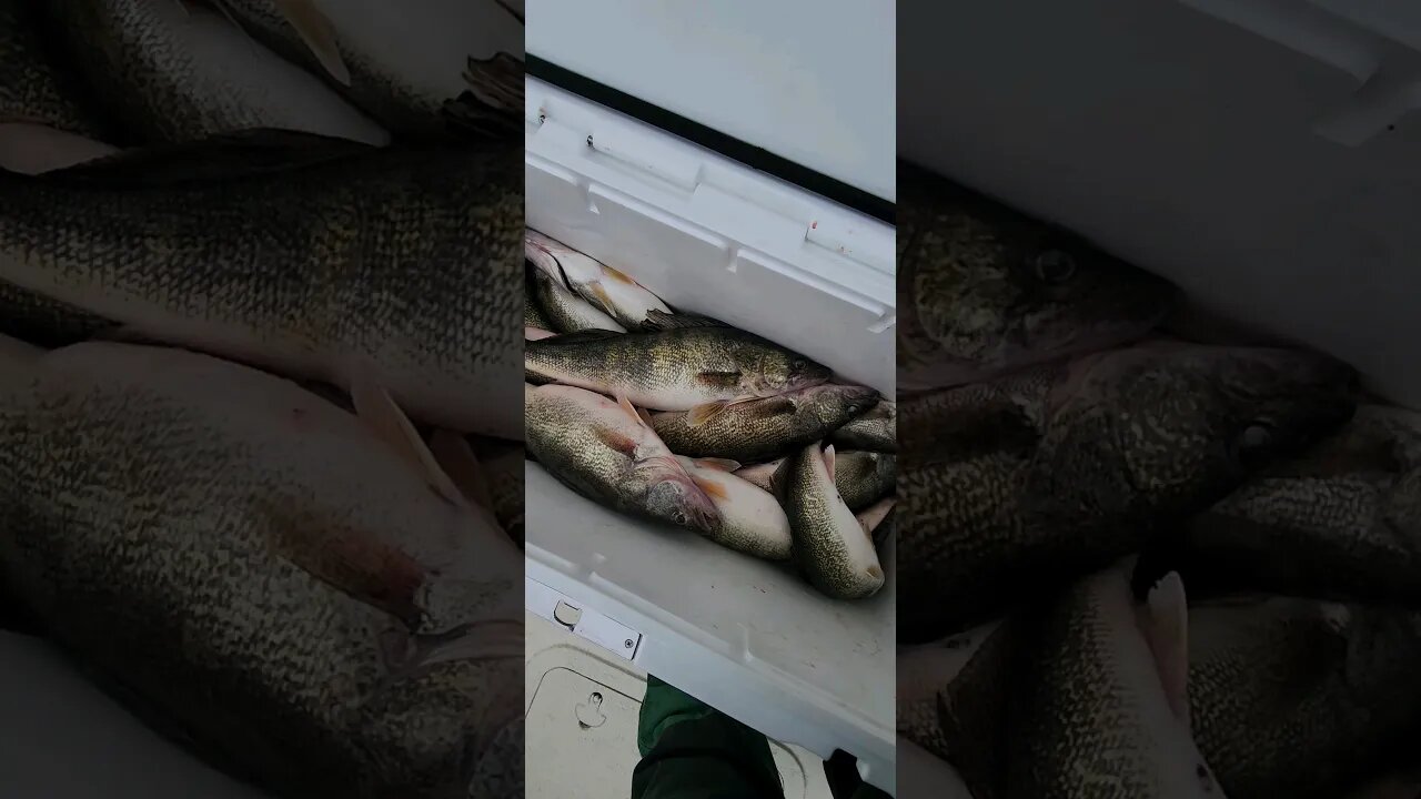 Sorry forgot to upload yesterday. Slow day on Erie for us, we came up short on there 24, at 15...