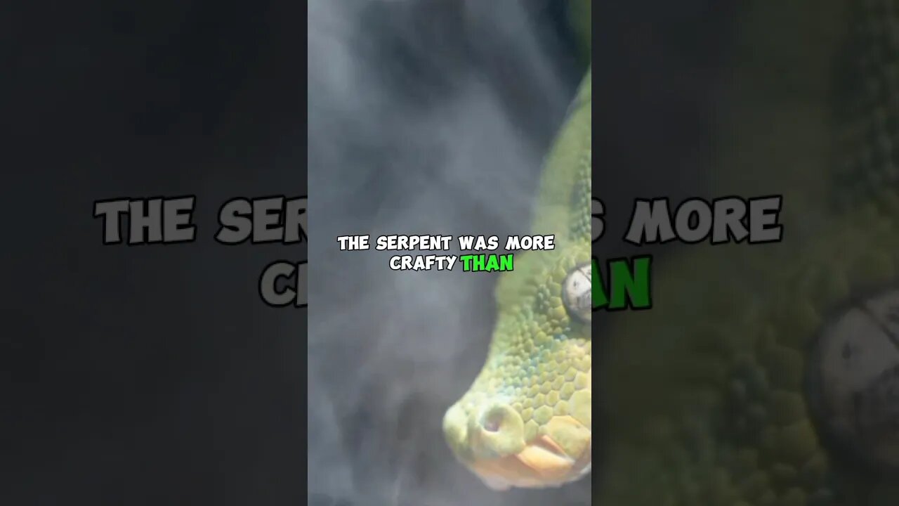 The serpent was more crafty🤥