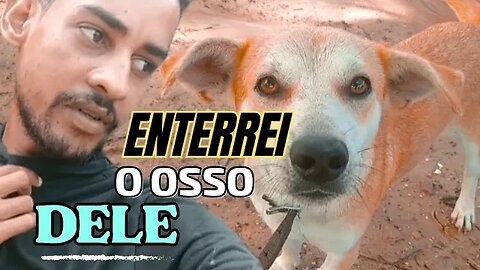 o Dia que eu testei o Q.I do meu cachorro e ele me surpreendeu 😱😱😱😱😱