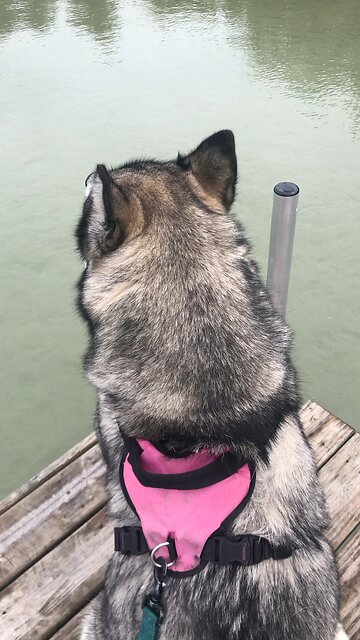 They will deceive innocent people