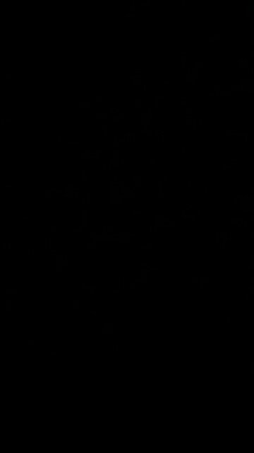 Christ is our sin offering