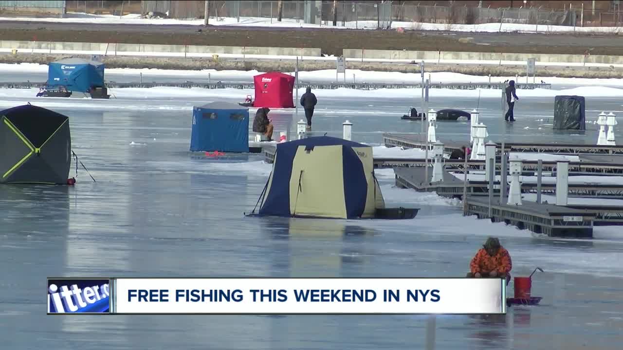 Get your fishing poles, free fishing in New York