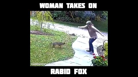 Woman vs. Rabid Fox