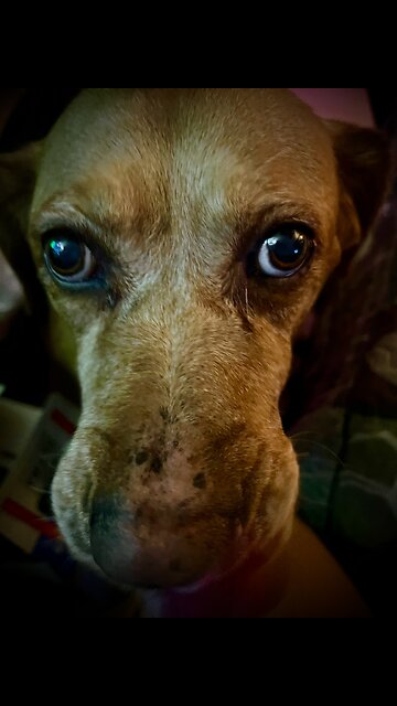 Get Your Sittin Hole Just Right