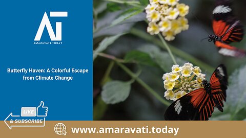Butterfly Haven A Colorful Escape from Climate Change | Amaravati Today