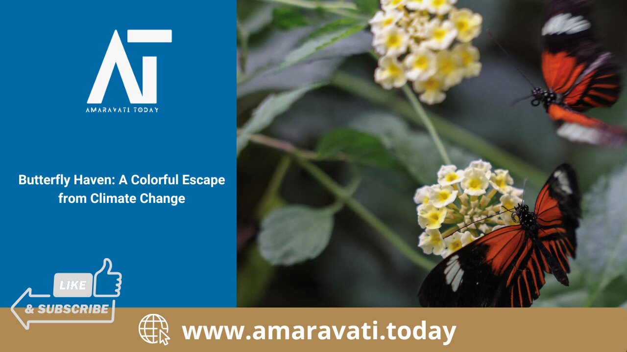 Butterfly Haven A Colorful Escape from Climate Change | Amaravati Today