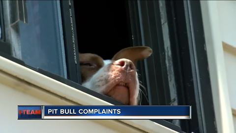 Neighbors turn to I-Team about dangerous dog