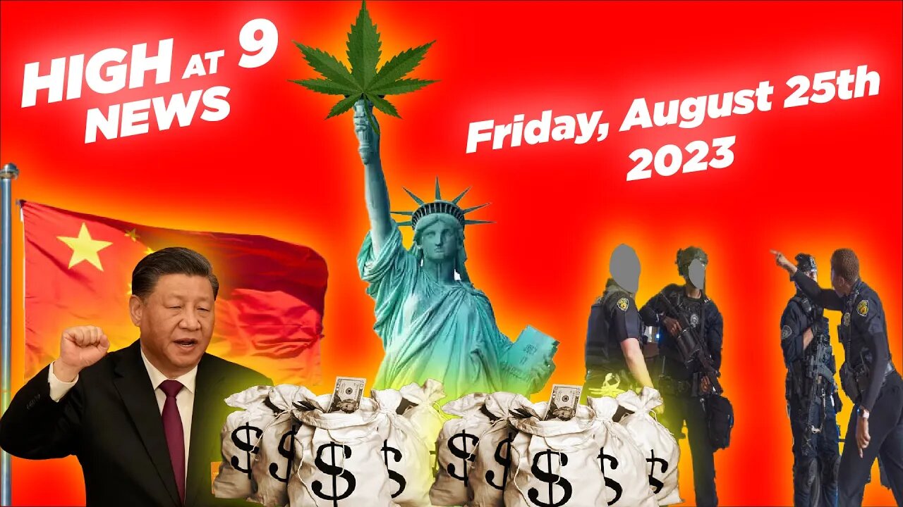 NY Court Name 30 DISP allowed to open, Maine DOJ asks to halt illegal Chinese grows August 25th 2023