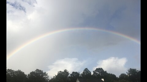 What God Has To Say About His Creation