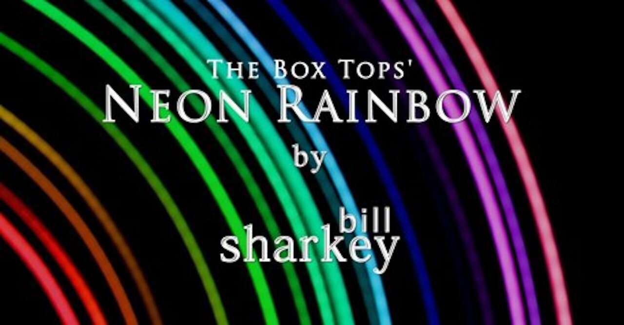 Neon Rainbow - Box Tops, The (cover-live by Bill Sharkey)