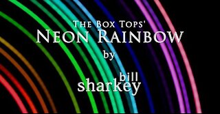 Neon Rainbow - Box Tops, The (cover-live by Bill Sharkey)