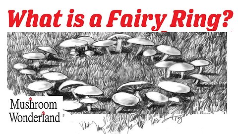 What is a Fairy Ring - Why do mushrooms grow in a circle?