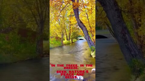 Beautiful Nature Relaxing running water sounds Relaxing Nature Sounds
