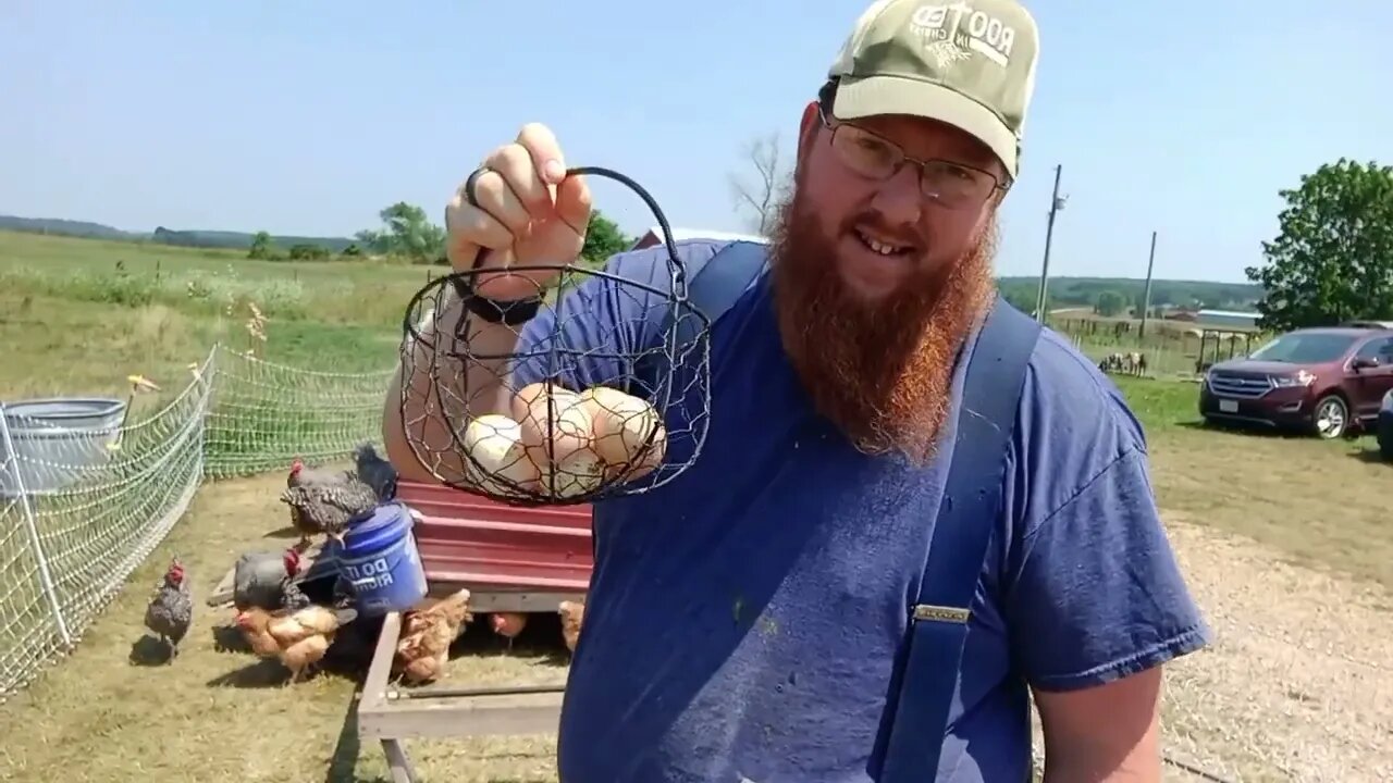 We wasn't sheep farmers VERY Long.