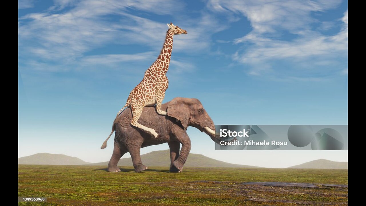 Giraffe movement