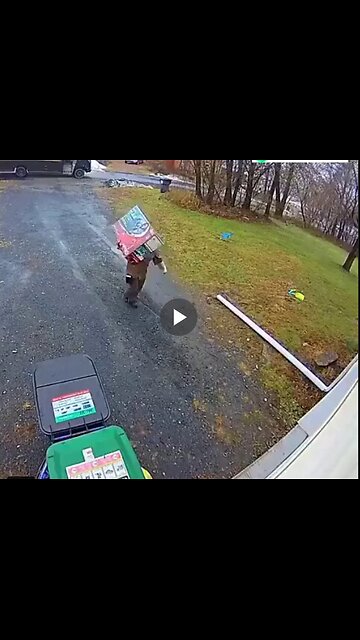 UPS delivery driver goes above and beyond to hide the package