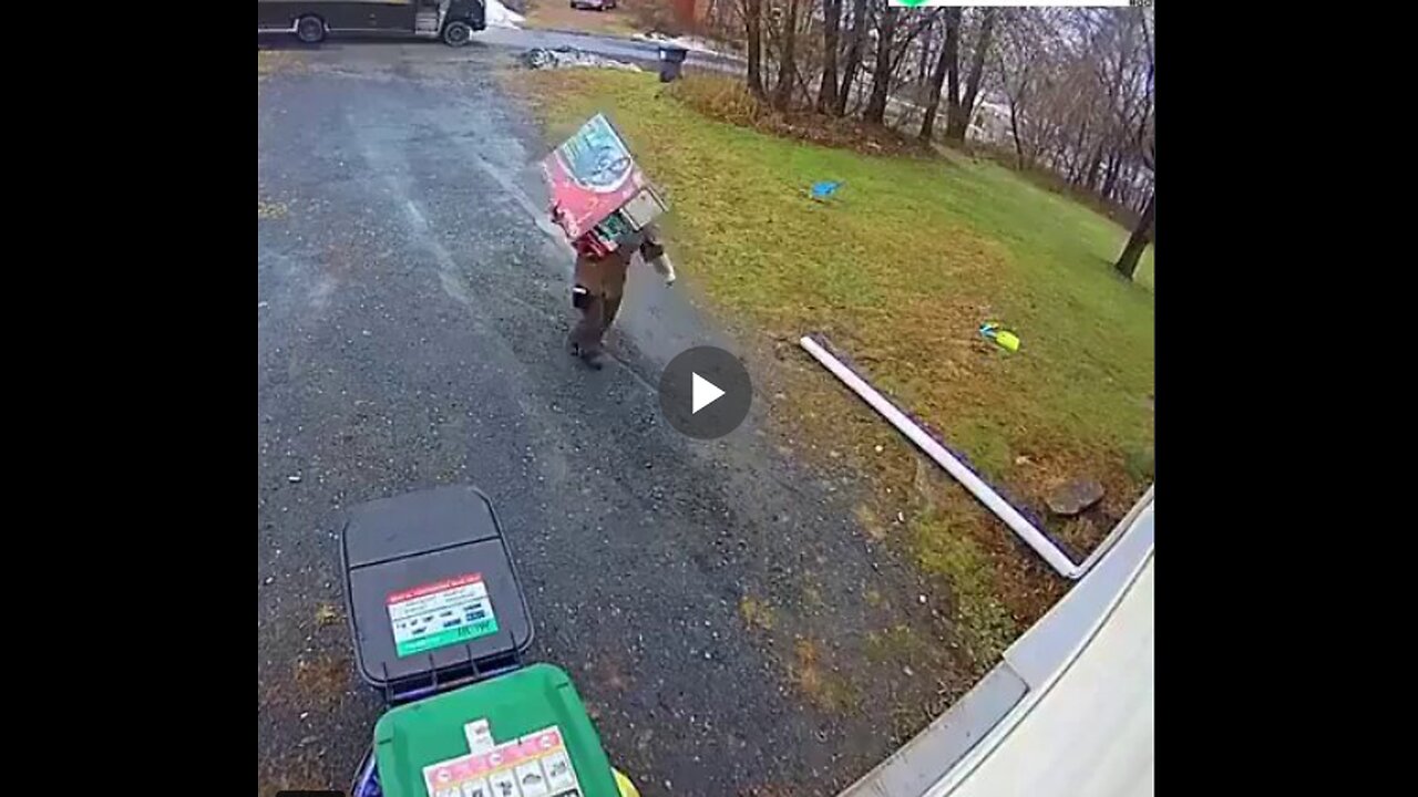 UPS delivery driver goes above and beyond to hide the package