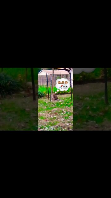 "NOT GUNNA MAKE IT BRANDON!"