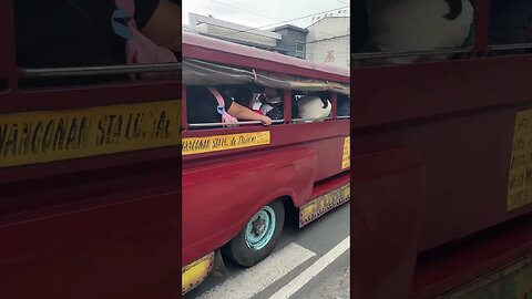 Jeepneys Way of Life #shortvideo #shortsvideo #shortsfeed #travel #subscribe #viral #shorts #short