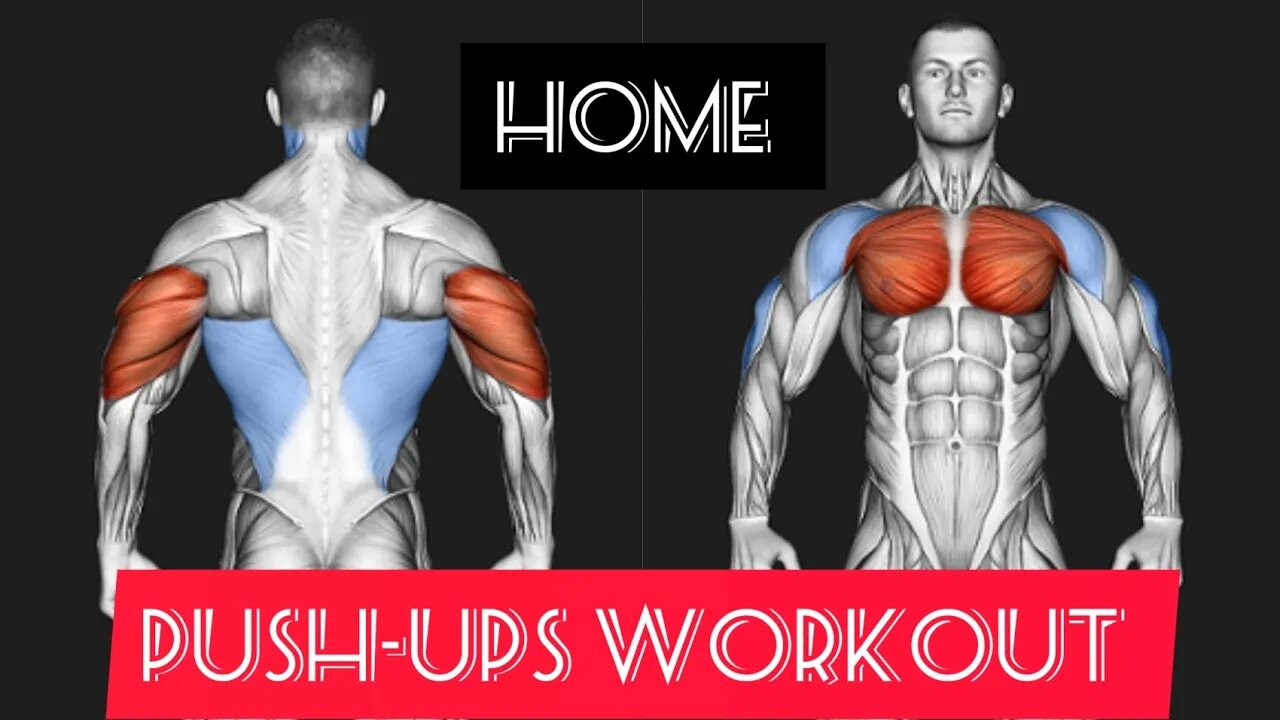 Home : Push-ups workout (chest/triceps) body weight