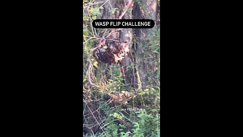 Wasp flip challenge