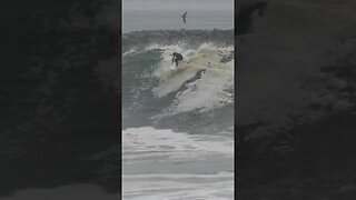 The WORST Thing That Could Happen While Surfing