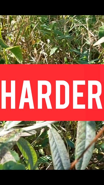 Get Knocked Down and Get Back Up 💪🌱