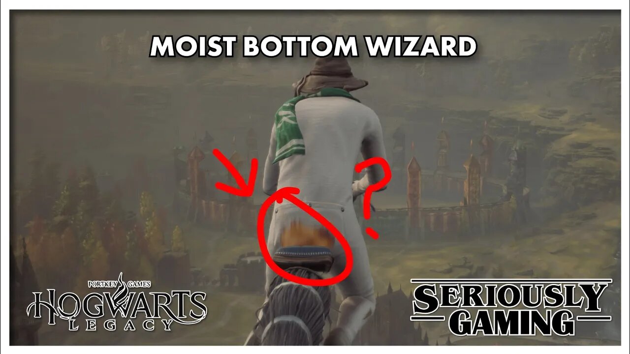 Animal Husbandry: "THAT" Wizard game! #hogwartslegacy #hogwarts #jkrowling