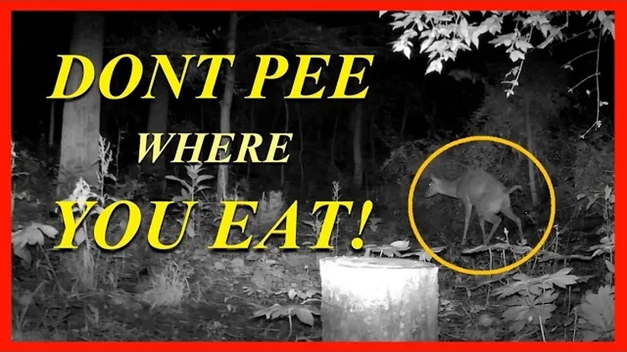 DONT PEE WHERE YOU EAT!