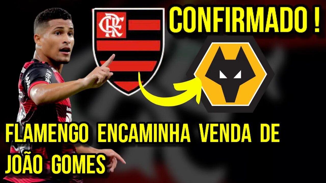 CONFIRMADO! FLAMENGO ENCAMINHA VENDA DE JOÃO GOMES PARA O WOLVERHAMPTON - É TRETA!!!