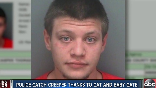 Police catch creeper thanks to cat and baby gate