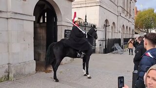 Two horse play up. on the change over #horseguardsparade