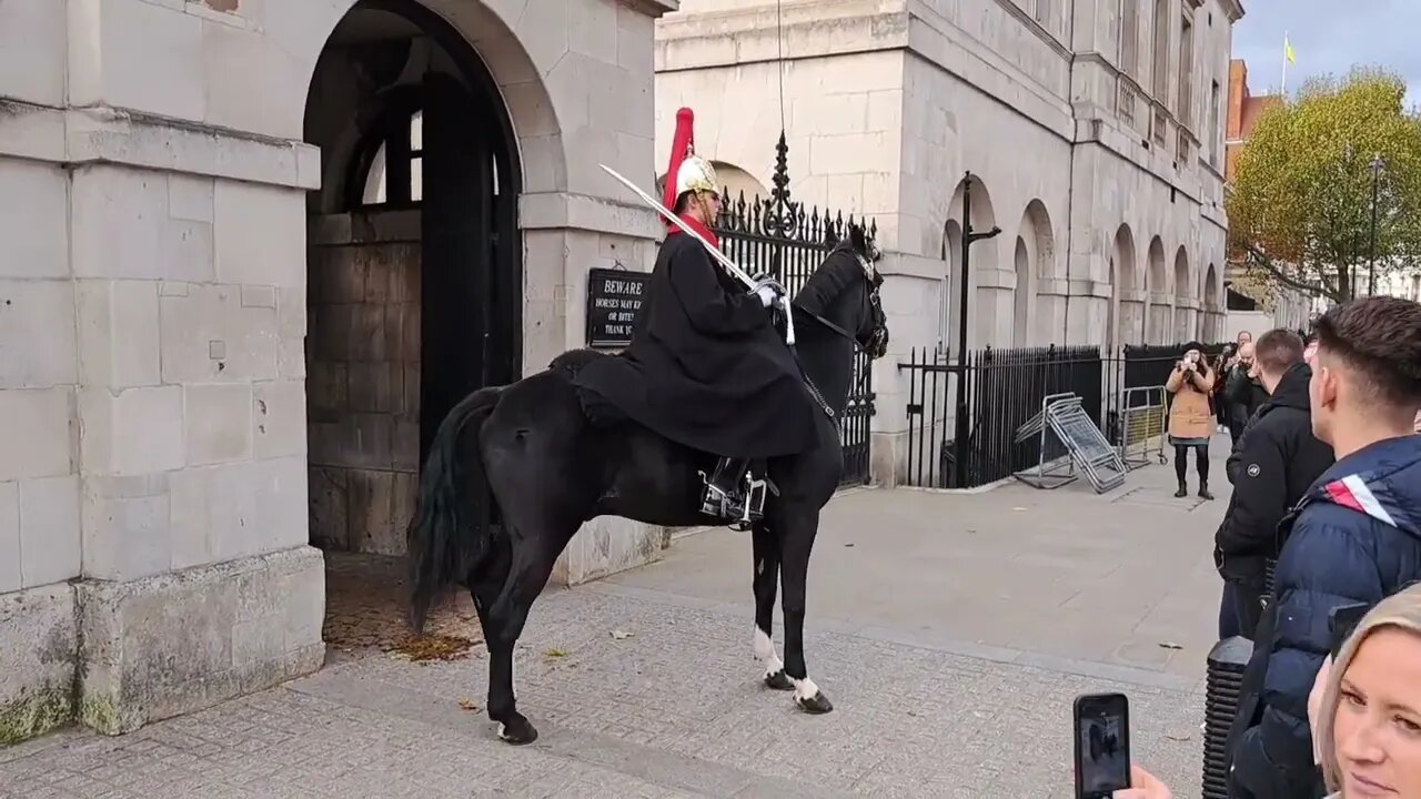 Two horse play up. on the change over #horseguardsparade