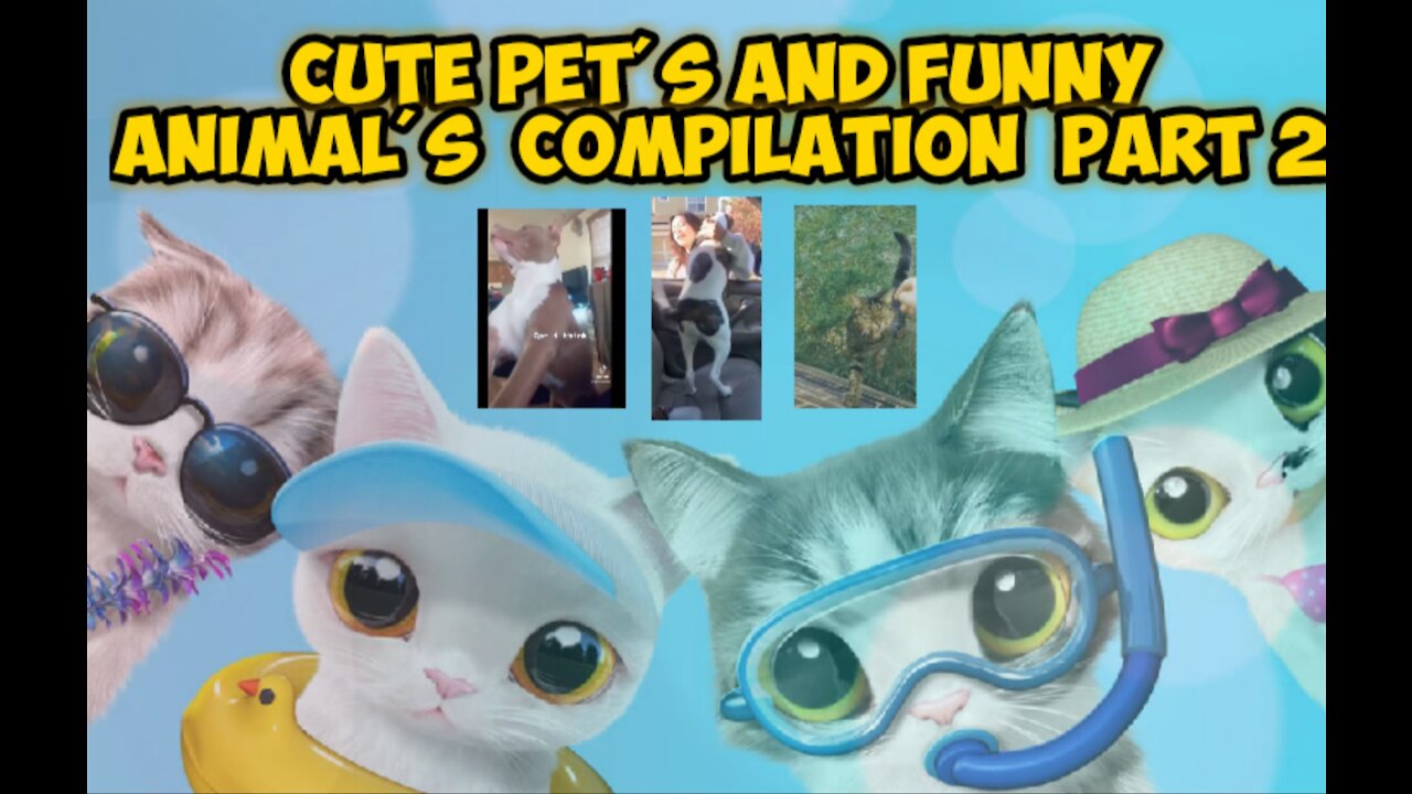 Cute Pets And Funny Animals Compilation - 2nd part