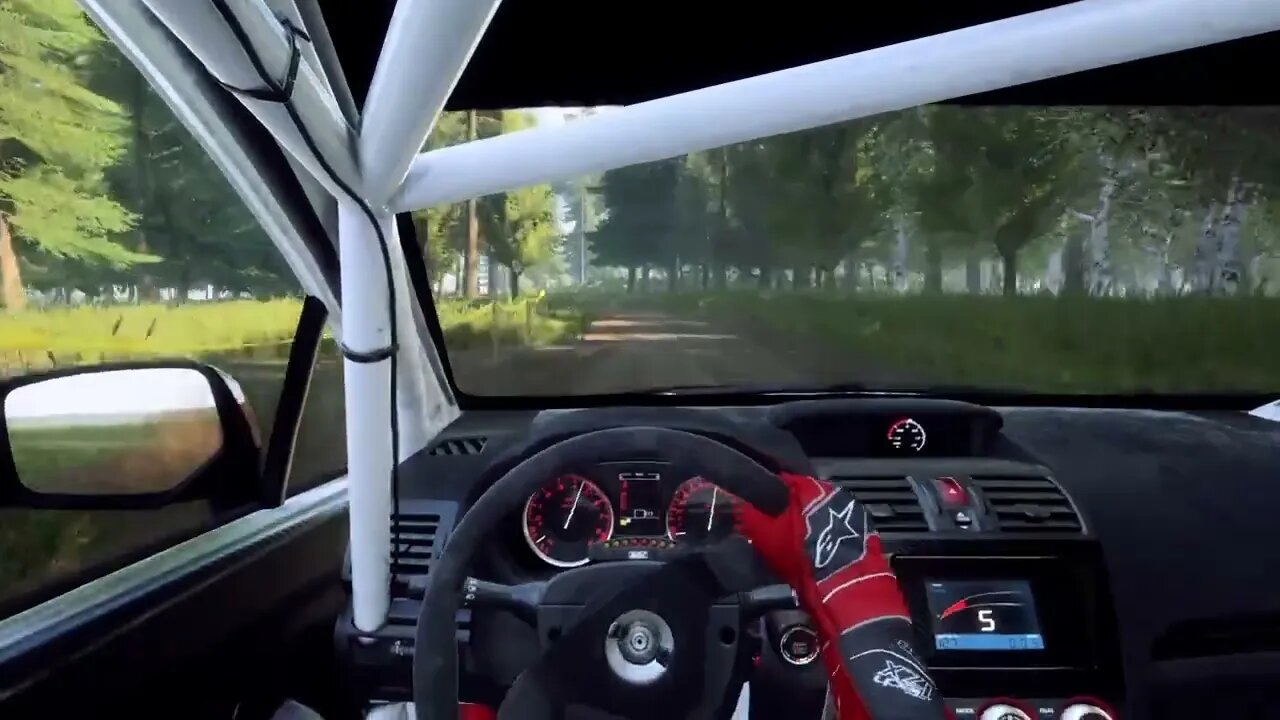 DiRT Rally 2 - Disastrous Finish at Jezioro Rotcze