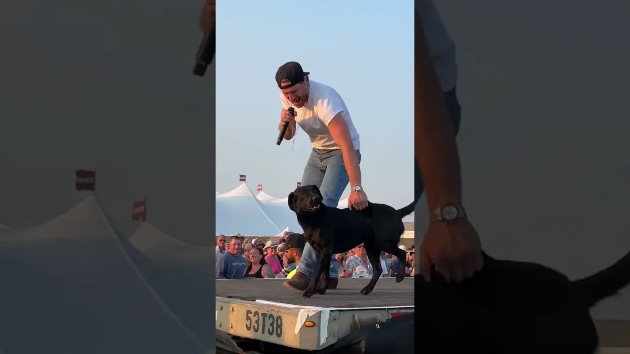 Chase Rice Sings On Stage With His Dog (via: mamakups) #music #concert #dog #chaserice #countrymusic