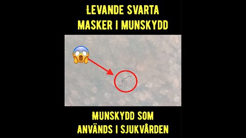 🚨Levande svarta masker i munskydd inom vården🚨